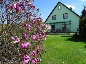 Charmantes Appartement in Binz mit Garten, Binz